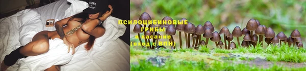 мет Кинешма